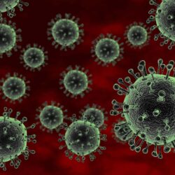 Influenza avian pathogenic serious concern pathogen scitechdaily